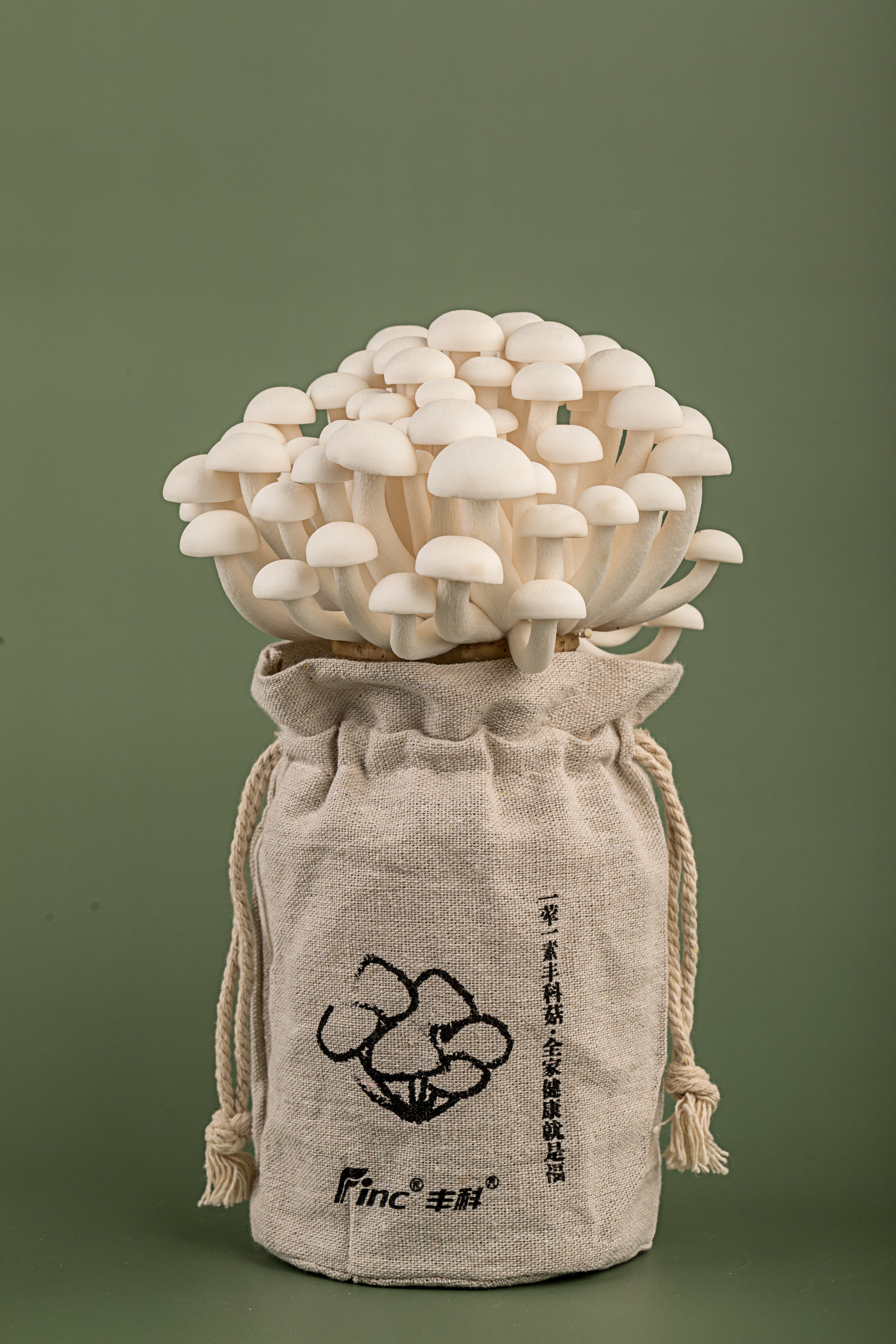 White Jade Mushroom
