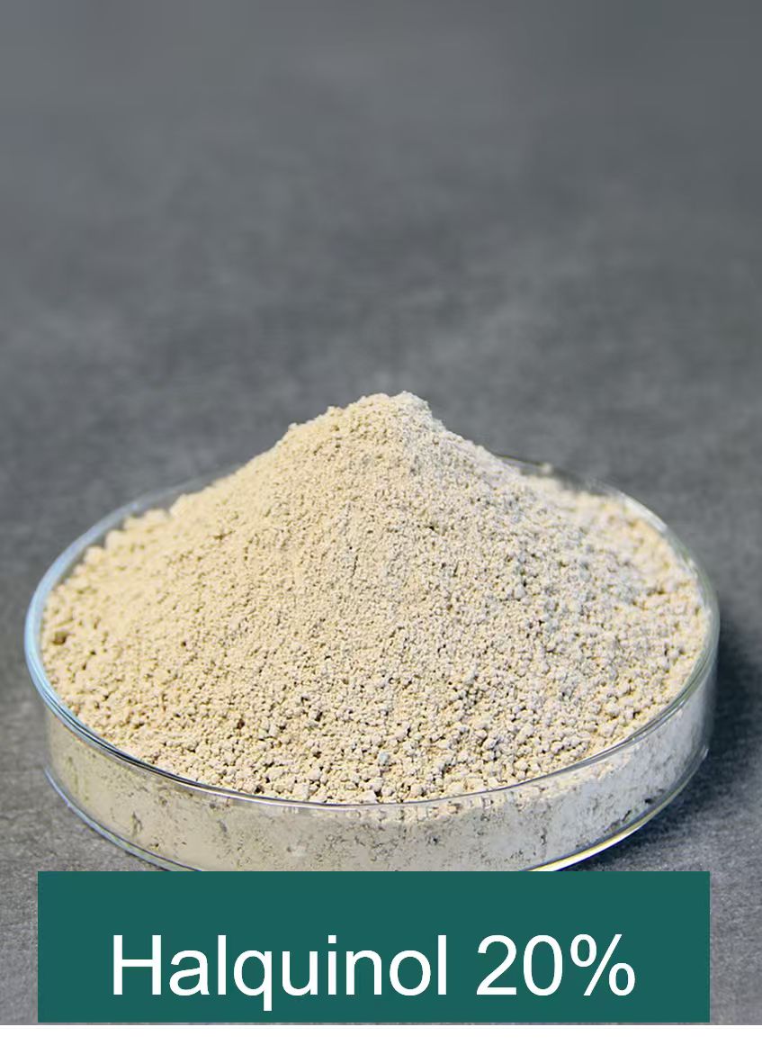 Chengdu Decens Animal Health Co., Ltd.