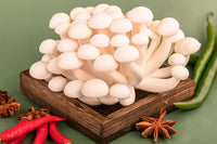 White Jade Mushroom