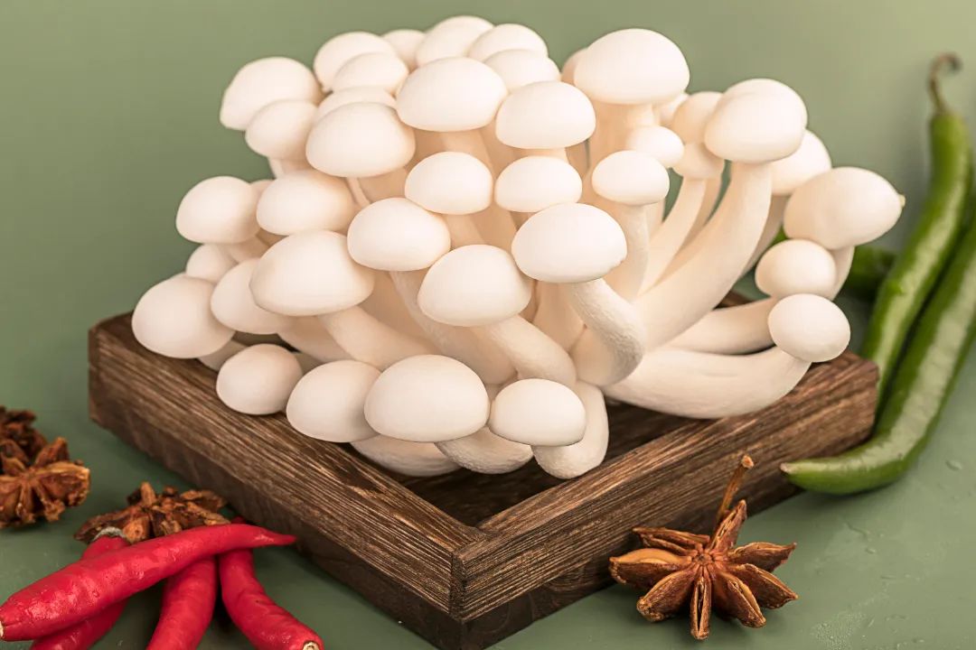 White Jade Mushroom