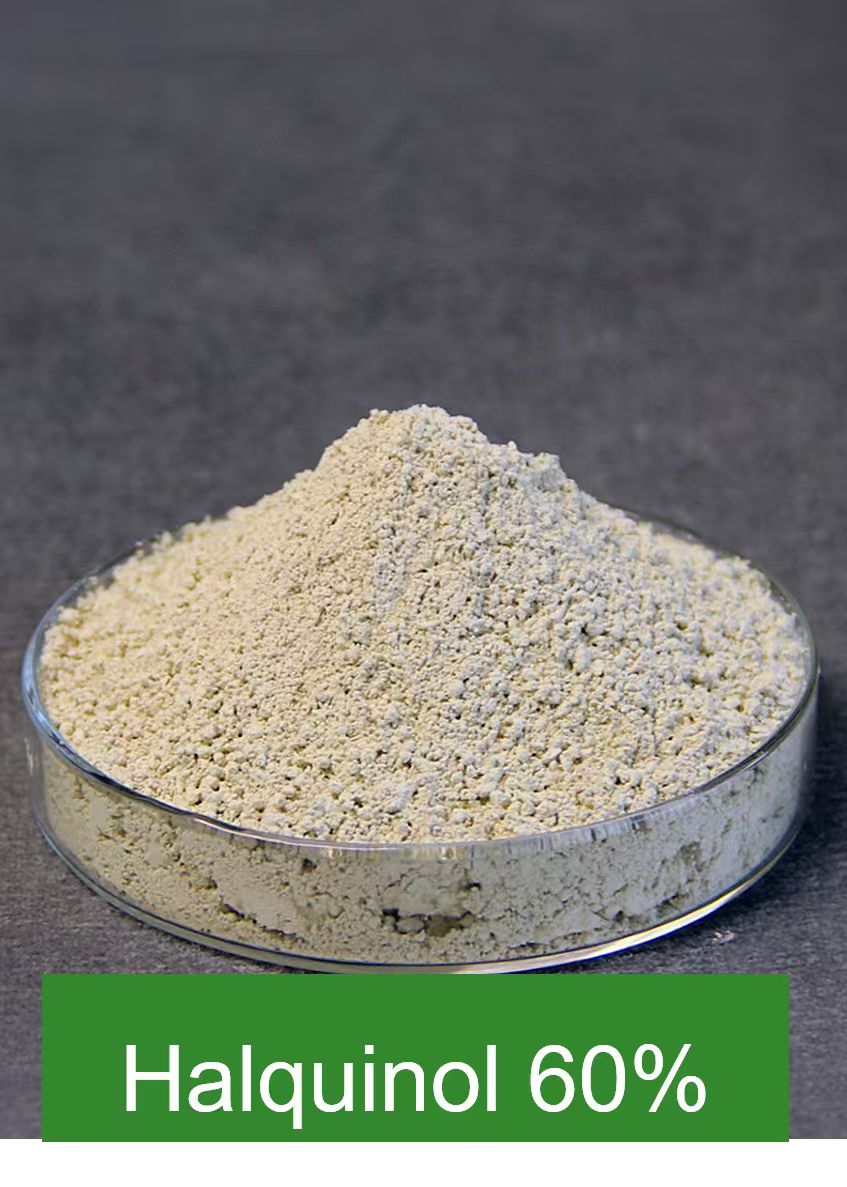 Chengdu Decens Animal Health Co., Ltd.